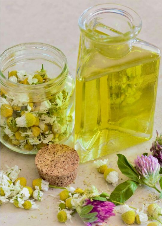 Chamomile Infused Oil